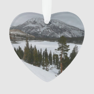 Ornamento Snowy Ellery Lake California Fotografia de inverno