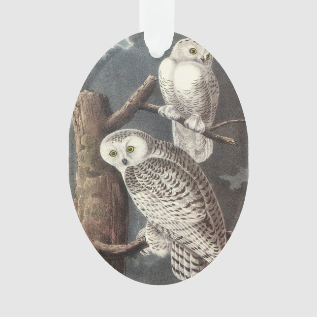 Ornamento Snowy Owl por Audubon (Frente)