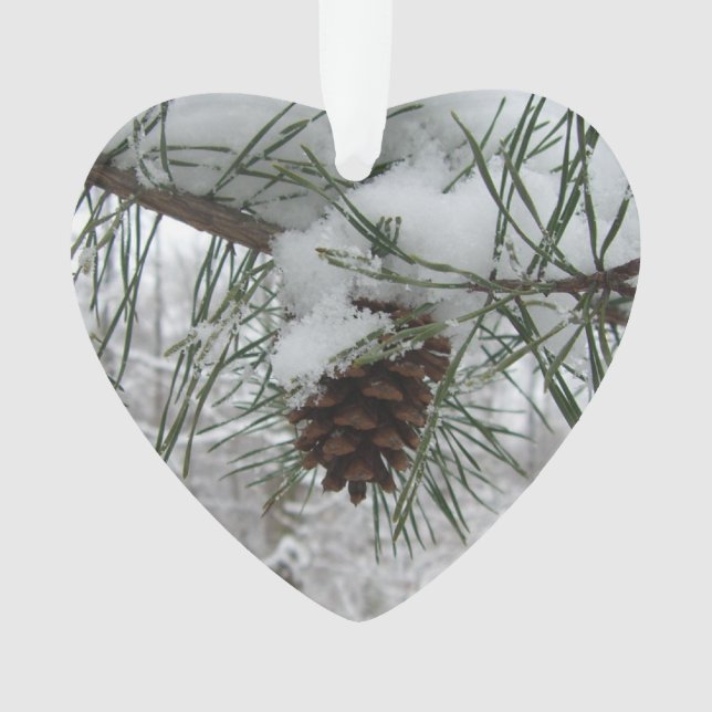 Ornamento Snowy Pine Branch Winter Nature Fotografia (Frente)
