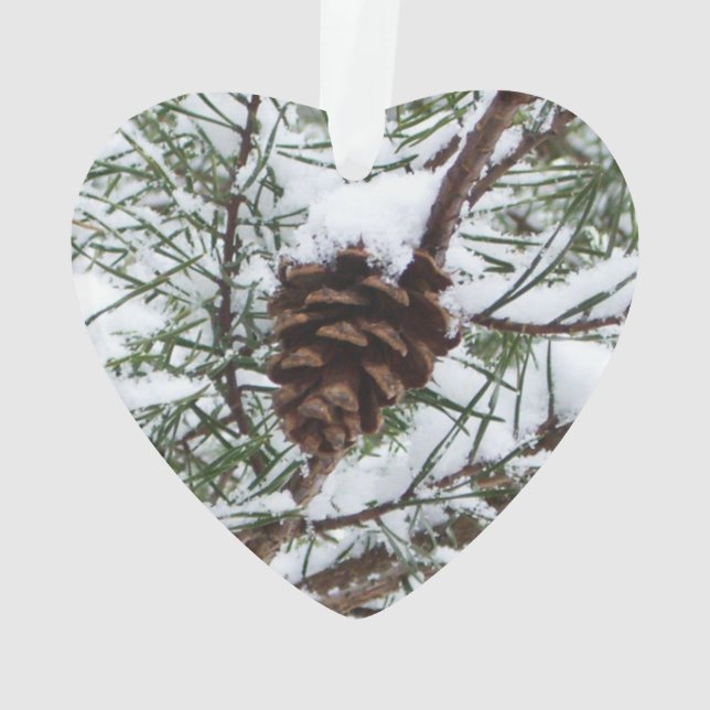 Ornamento Snowy Pine Cone II Fotografia de inverno (Verso)