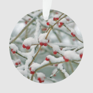 Ornamento Snowy Red Berries Cena de inverno