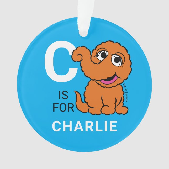 Ornamento Snuffleupagus | Nome personalizado com foto (Frente)