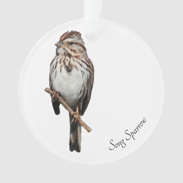 Ornamento Song Sparrow (Frente)