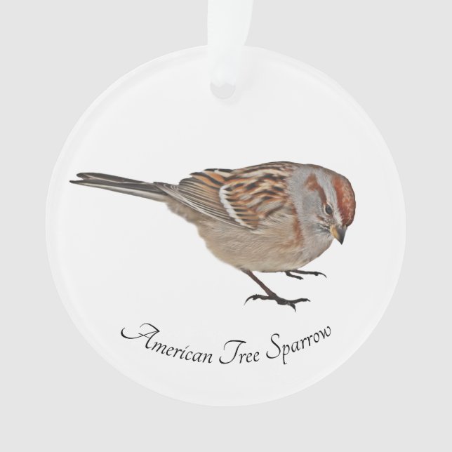 Ornamento Sparrow Árvore Americano (Frente)