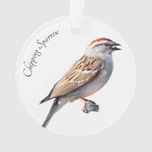 Ornamento Sparrow de chipset