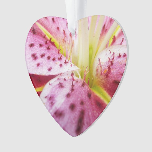 Ornamento Stargazer Lily Bright Magenta Floral (Frente)