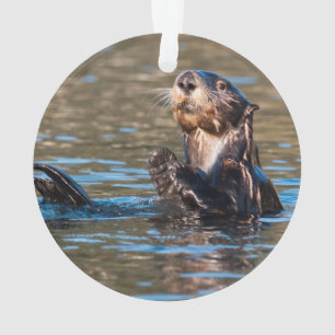 Ornamento Sunny Sea Otter