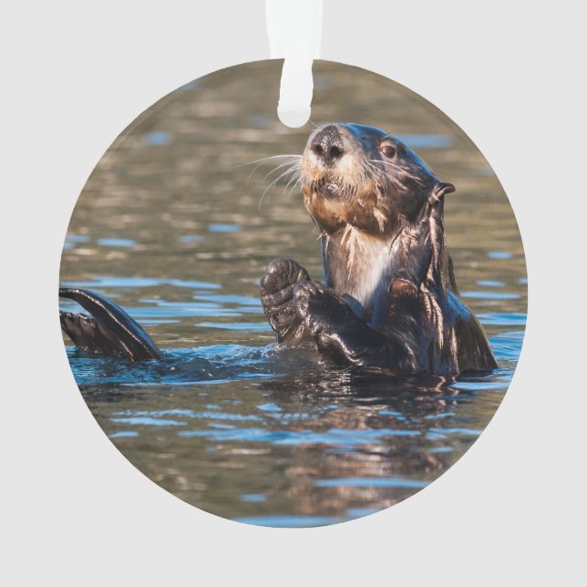 Ornamento Sunny Sea Otter (Verso)