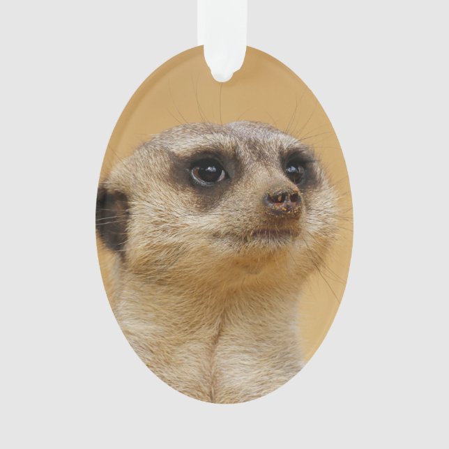 Ornamento Suricata 2014-1101 (Frente)