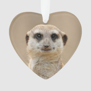 Ornamento Suricata_2015_0211