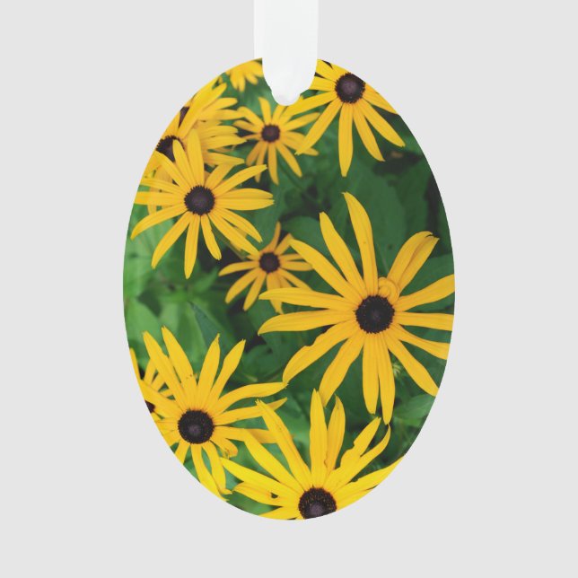 Ornamento Susanos de olhos-pretos (Frente)