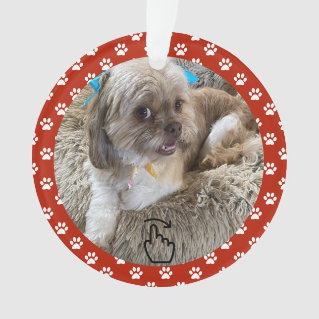 Ornamento SWIPE DIREITO - Consulte Anterior ... (Frente)