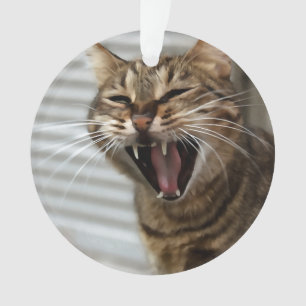 Ornamento Tabby Cat Yawning Retrato Artístico