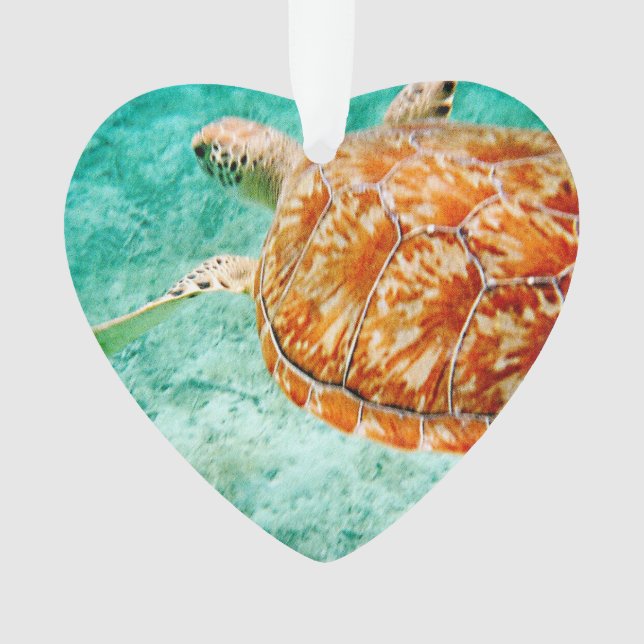 Ornamento Tartaruga marinha (Frente)