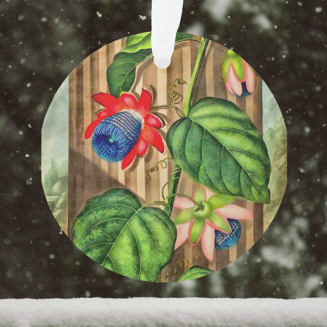 Ornamento Templo de Flora da Flor Alada - Natal (Criador carregado)