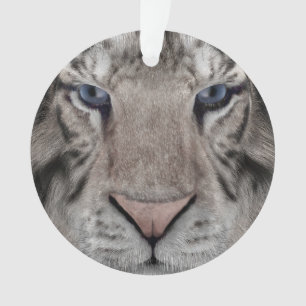 Ornamento Tigre Branco