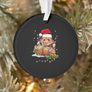 Ornamento Torta de Natal de Hamster