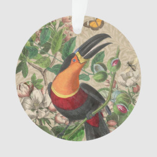 Ornamento Toucan Jungle Tropical Bird Beauful Antiguidade