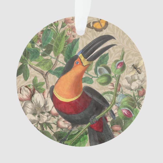 Ornamento Toucan Jungle Tropical Bird Beauful Antiguidade (Frente)
