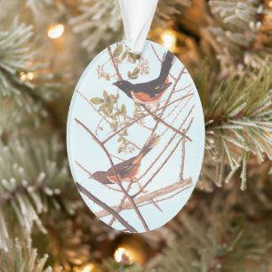 Ornamento Toweting Audubon Black and Orange Song Birds