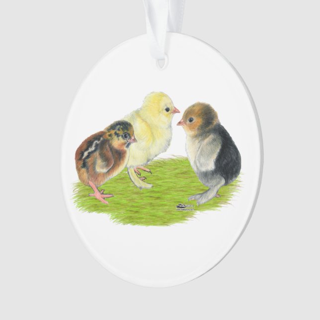 Ornamento Trio de Pintinhos (Frente)