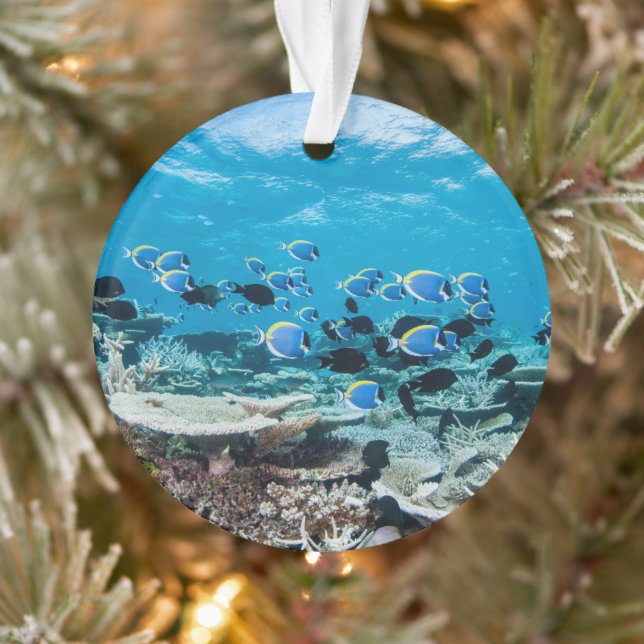 Ornamento Tropical Beaches | Sturgeon Amongst Coral (Árvore)