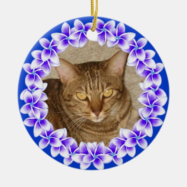 Ornamento tropical da foto dos leus do Plumeria (Frente)