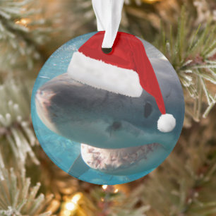 Ornamento Tubarões de Natal brancos excelentes com Santa Hat
