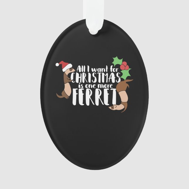 Ornamento tudo que eu quero é mais um furão. (Frente)