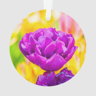 Ornamento Tulipas Encantando 15