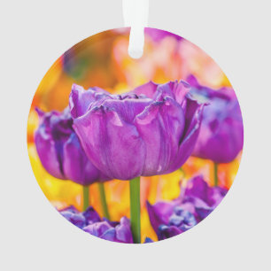 Ornamento Tulipas Encantando Roxo