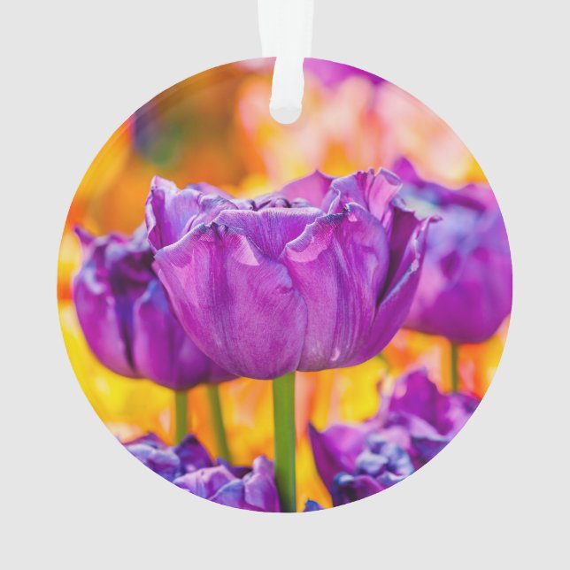 Ornamento Tulipas Encantando Roxo (Verso)