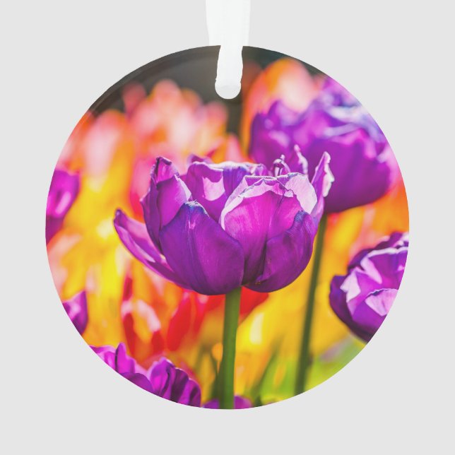 Ornamento Tulipas Encantando Roxo (Verso)