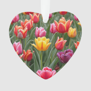 Ornamento Tulipas Holandesas