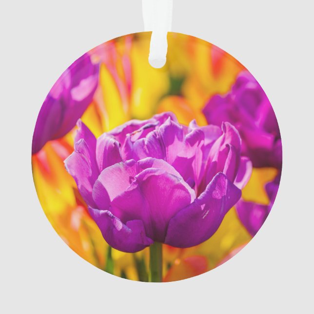 Ornamento Tulips Enchanting Violet (Verso)