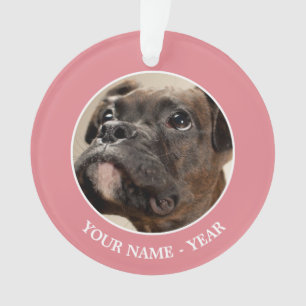 Ornamento Um cachorrinho do Brindle Boxer olhando curiosamen