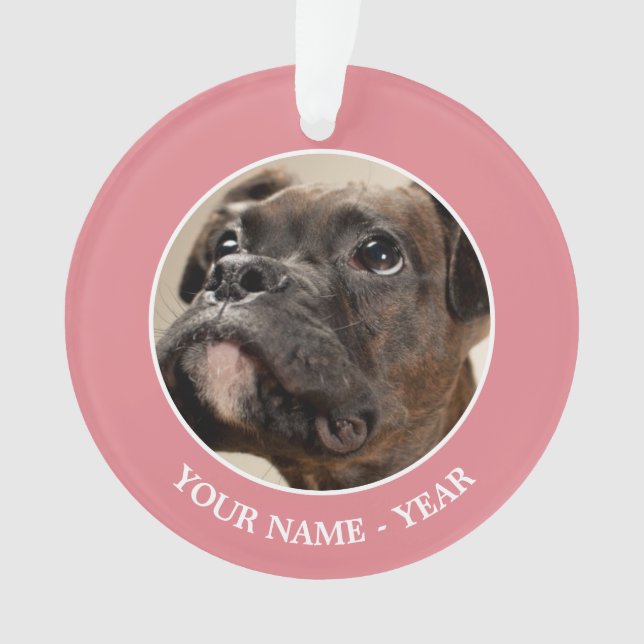 Ornamento Um cachorrinho do Brindle Boxer olhando curiosamen (Frente)