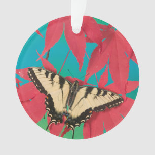 Ornamento Uma Borboleta Canadense Tiger Swallowtail
