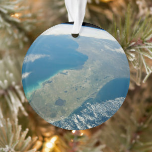 Ornamento Uma Flórida Oblíqua, Na Costa Sudeste