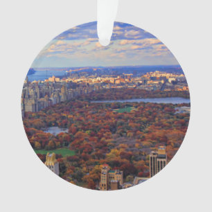 Ornamento Uma visão de cima: Outono no Central Park 01