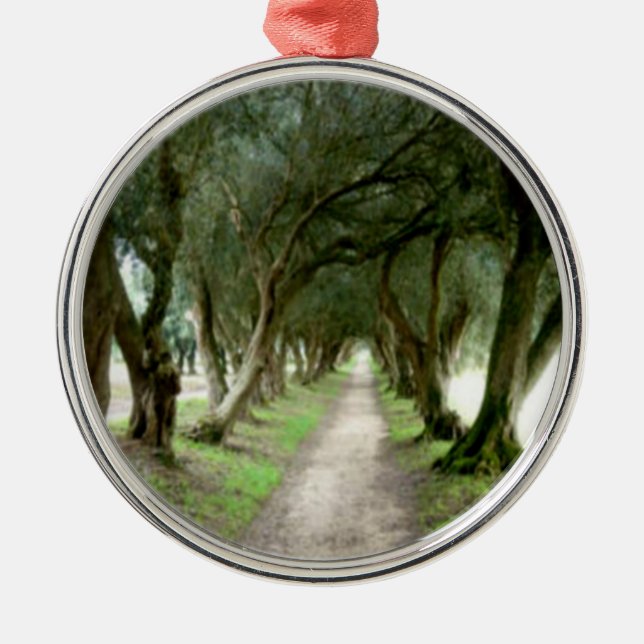 Ornamento verde-oliva do jardim (Frente)