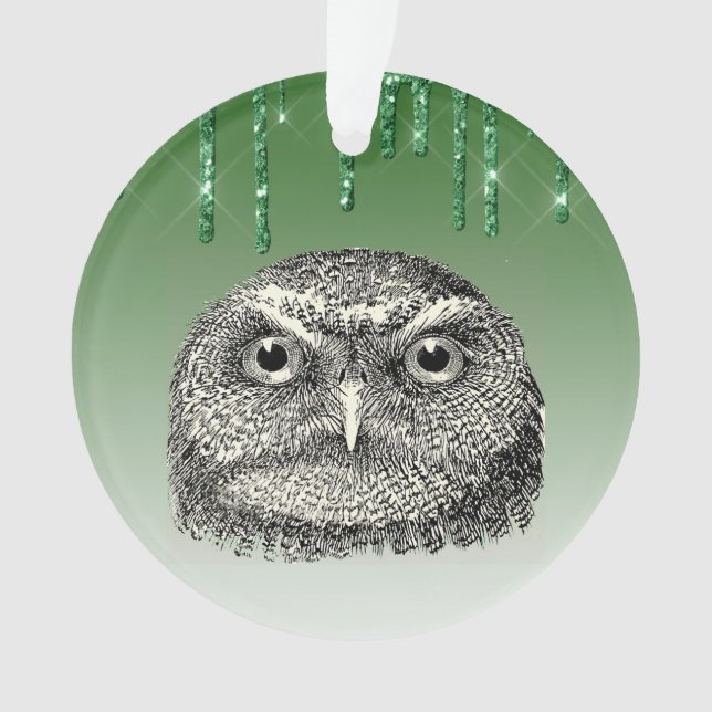 Ornamento Vintage Woodford Owl Green Glittery (Frente)