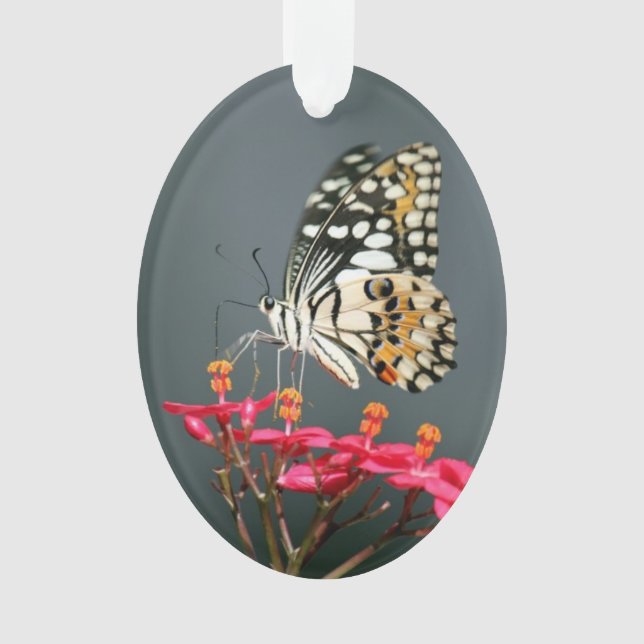 Ornamento "Voa" a poesia (Frente)