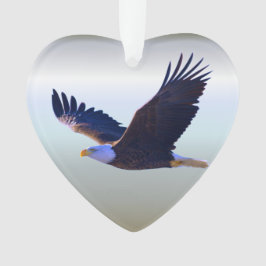 Ornamento Voando de Águia