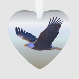 Ornamento Voando de Águia