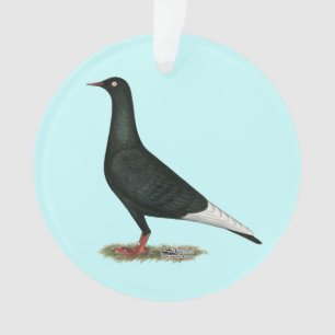 Ornamento Voo Voador Pombo Negro