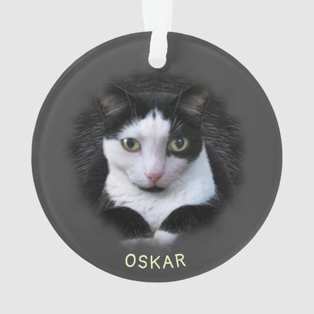 Ornamento w. 2 de suas Fotos e Nomes de Pet em acr (Verso)