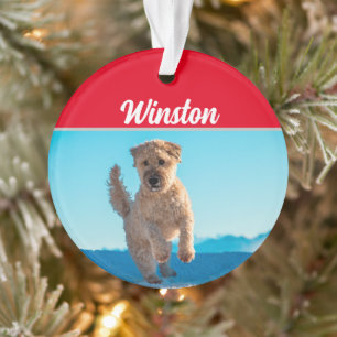 Ornamento Wheaten Terrier com nome e foto de Natal