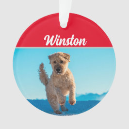 Ornamento Wheaten Terrier com nome e foto de Natal