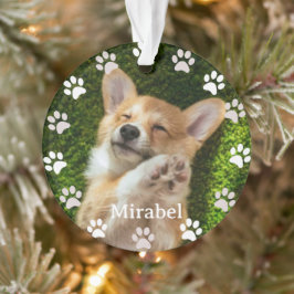 Ornamento White Paw Imprime Quadro Personalizado Pet Foto e 